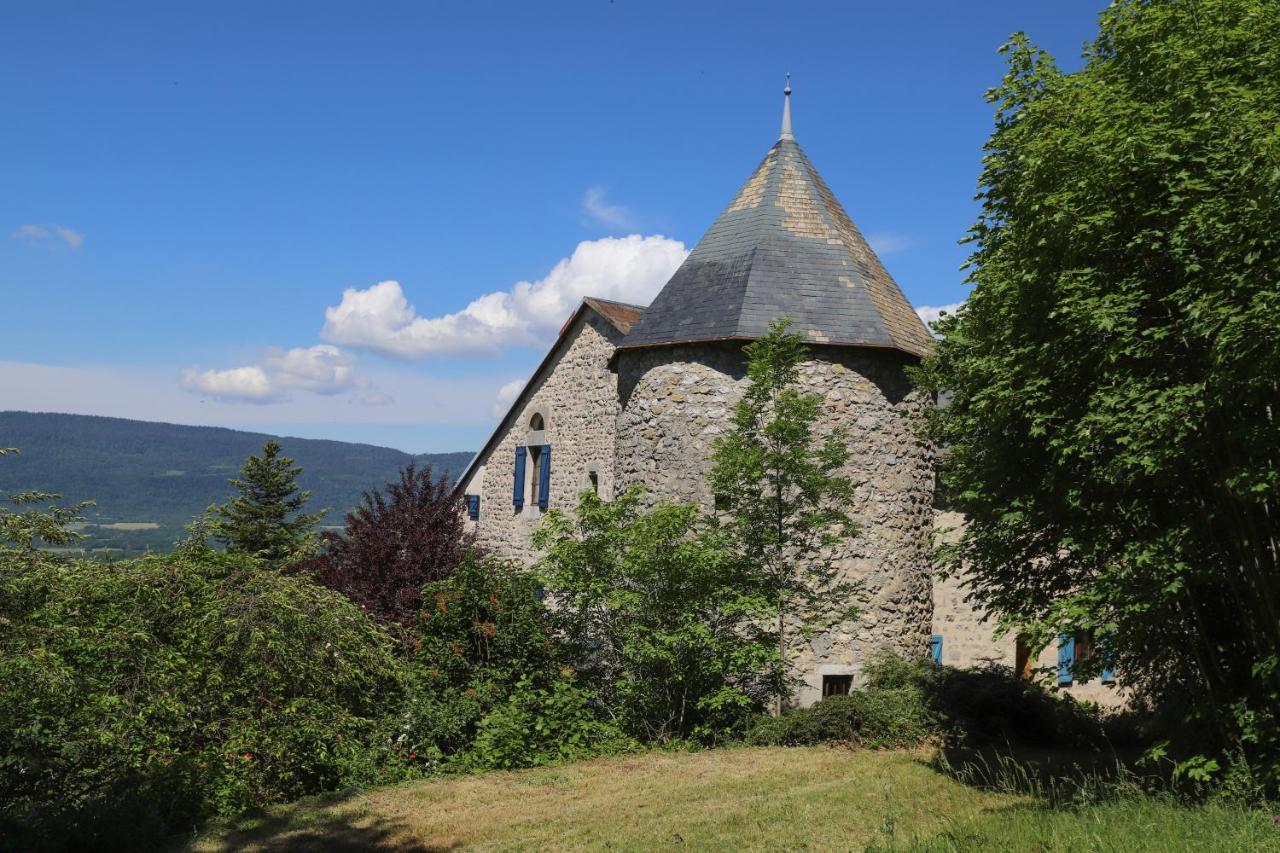 Chateau De Sothonod Εξωτερικό φωτογραφία