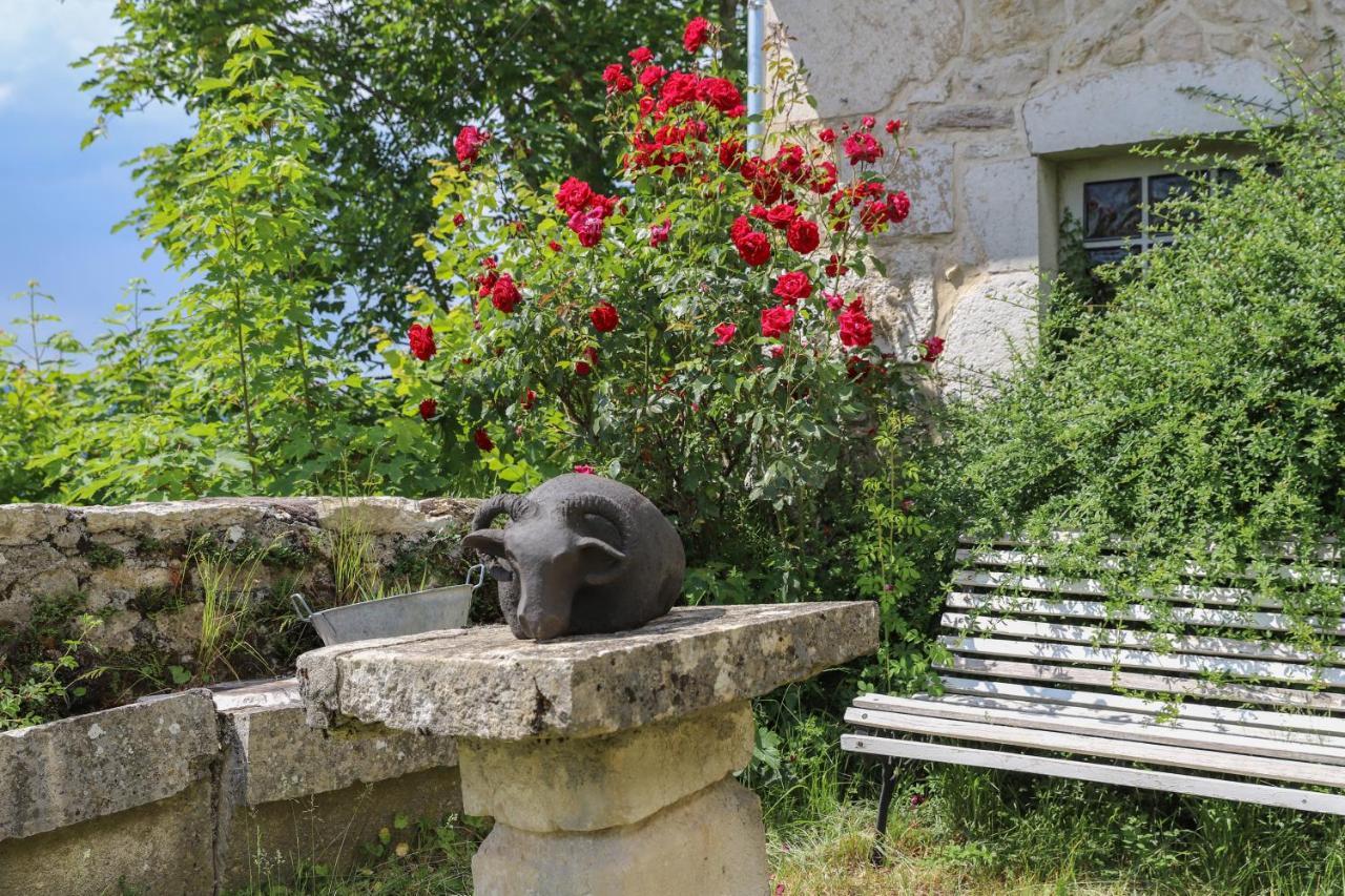 Chateau De Sothonod Εξωτερικό φωτογραφία